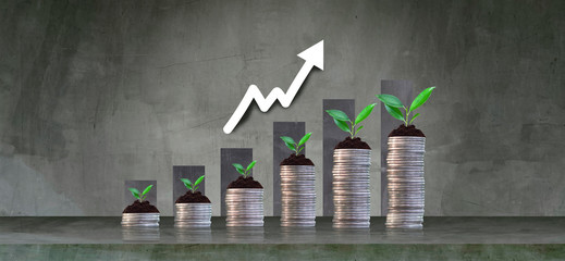 Growing crops in saving coins - investment concepts and interests Business growth