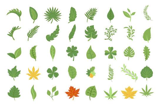 Leaf Cartoon Images – Browse 872,793 Stock Photos, Vectors, and Video |  Adobe Stock