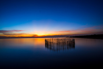 The abstract blurry background of the twilight light in the evening, seeing a multitude of birds hanging on the branches while relaxing in the evening and finding food for another day.