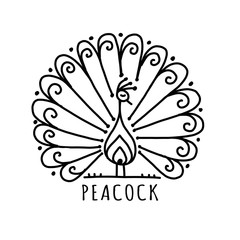 Peacock collection, ethnic style, sketch for your design