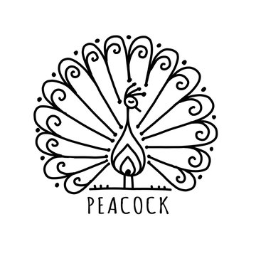 A Beautiful Peacock is Standing on the Ground Vector Drawing Stock Vector   Illustration of engraving feather 157638250