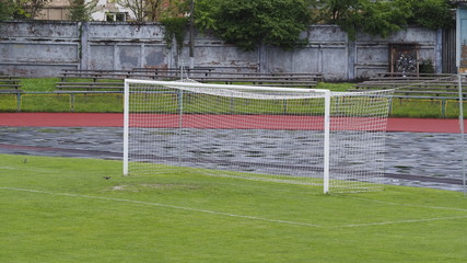 soccer ball on field