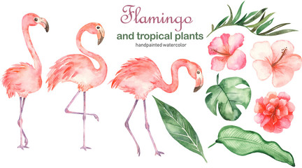 Watercolor set with flamingos and tropical plants