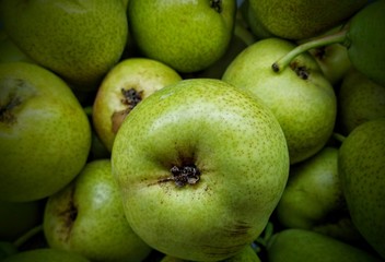 Pear fruit isolated