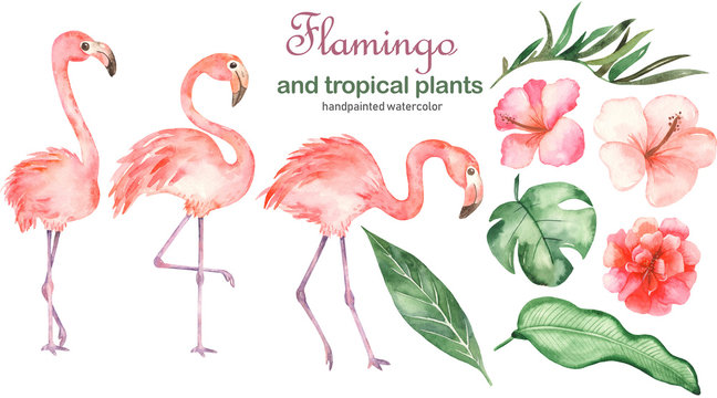 Download 1 234 Best Pink Flamingo Clip Art Images Stock Photos Vectors Adobe Stock