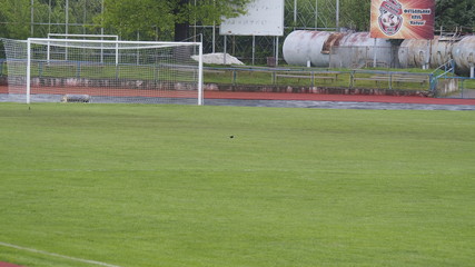 soccer ball on field