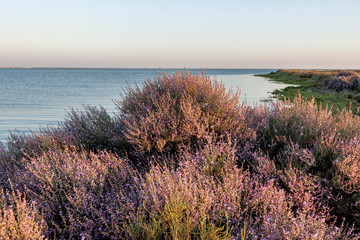 old salt marsh taken up by the sea in Olhao, Algarve, Portugal
