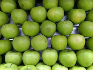 apples on green background