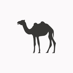Camel Logo Design Icon Vector