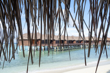 Fototapeta na wymiar Straw from a beach cabana with overwater beach hut villas intentionally blurred. Useful for backgrounds