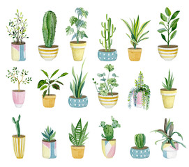 Watercolor set of home plants in flower pots. Hand drawn watercolor for banner, print, home or garden decoration..jpg - 307322459