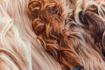 Wigs, hair. Womens beauty concept