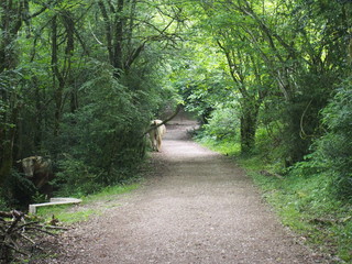 El Camino de Santiago, The Way of St.James, Journey, French way, Spain カミーノデサンティアゴ 巡礼 フランス人の道 スペイン