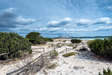 Sardinia sandy landscape on La Cinta beach next to San Teodoro, Italy.