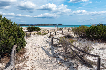 Fototapeta na wymiar Sardinia sandy landscape on La Cinta beach next to San Teodoro, Italy.