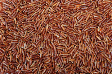 Surface covered with rice