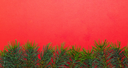 Christmas tree branches. The concept of the new year, christmas, nature. Banner. Flat lay, top view on white background