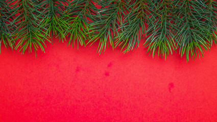 Christmas tree branches. The concept of the new year, christmas, nature. Banner. Flat lay, top view on white background