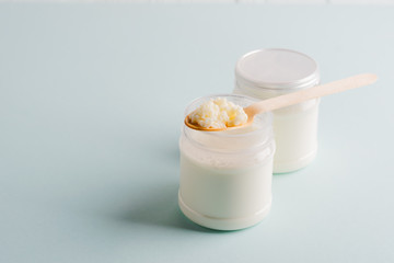 Milk mushroom organic probiotic fermented milk products glass bowl. Fermented foods healthy eating concept. Copy space.