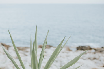 Paysage au bord de l'eau