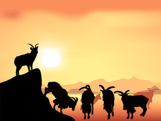 Fototapeta na wymiar goats silhouettes in mountains at sunset