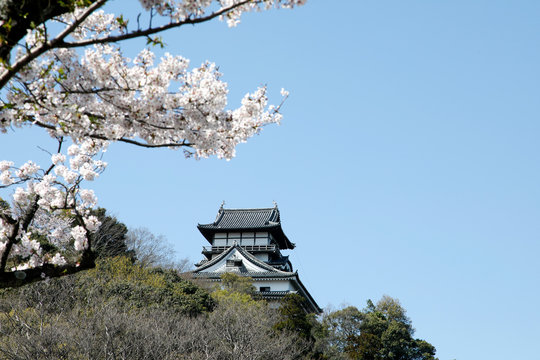 48 Best 国宝犬山城 Images Stock Photos Vectors Adobe Stock 48 Best 国宝犬山城 Images Stock Photos Vectors Adobe Stock