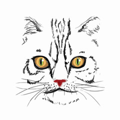 Hand Drawn Cat Face. Cat Head. Vector