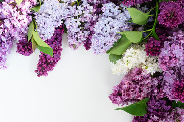 Fresh lilac flowers