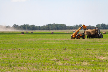 Fototapeta premium Tractor loading hay bales on truck agricultural works