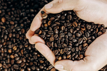 a lot of coffee beans on a wooden background. man holds coffee in the palms