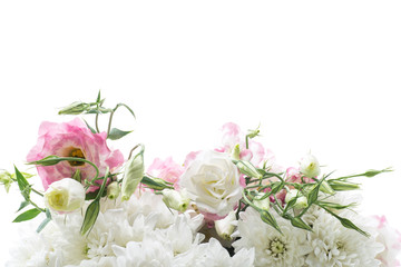 beautiful pink lisianthus flowers isolated on white