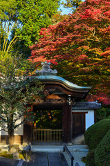 Ancient temple in Kyoto, Japan