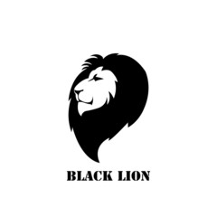 lion icon vector - illustration