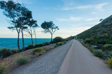 The green road of Oropesa del Mar