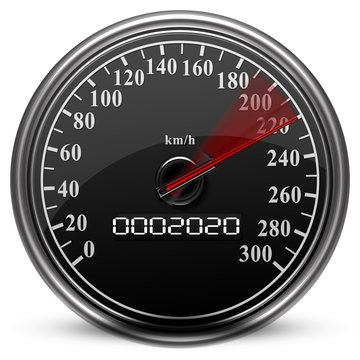 Tacho, 2019-2020, Speedometer