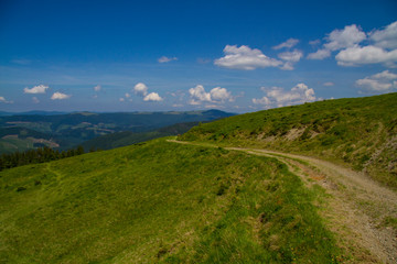 Naklejka na ściany i meble Carpathian mountains landscape