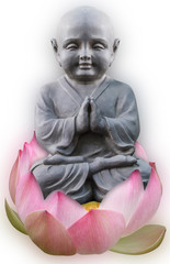 buddha in the meditation