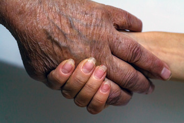 Fototapeta premium An elderly woman grandmother and a young girl hold hands. Support for the elderly from young people and children. Caring for retired old people.