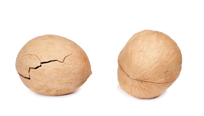 Dry walnut isolated on white background