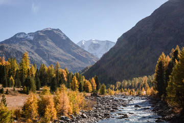 A Mountain river in the Swiss alps near the town of Sankt Moritz, Engadin, Switzerland - October 2019.