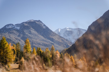 A Mountain river in the Swiss alps near the town of Sankt Moritz, Engadin, Switzerland - October 2019.