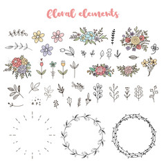 Floral elements: flowers, wreaths, leaves, bouquets. Handdrawn botanical clipart - 307338876