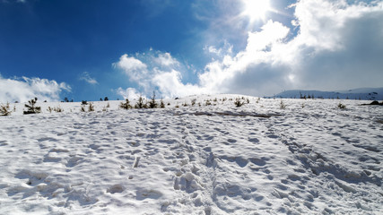 winter landscape with blue sky and white clouds