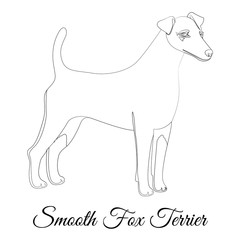 Smooth fox terrier dog outline