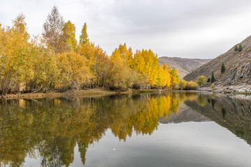 autumn landscape with lake and trees