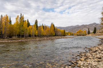 Xinjiang Coco Tuohai autumn scenery