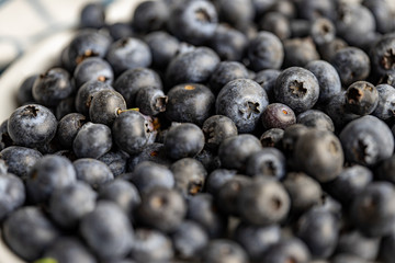 Blaubeeren
