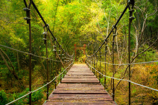 Fototapeta Most linowy (z połamaną drewnianą podłogą) przecina przepaść na trasie trekkingu. Selektywne ustawianie ostrości na środkowej długości drewnianego chodnika. Piękna na jesiennym zdjęciu.