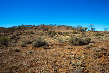 Typical arid, desert landscape in the Barrier Range near Broken Hill in outback New South Wales.
