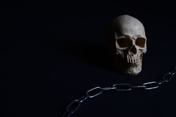 Menschlicher Schädel 3D mit Edelstahlkette
